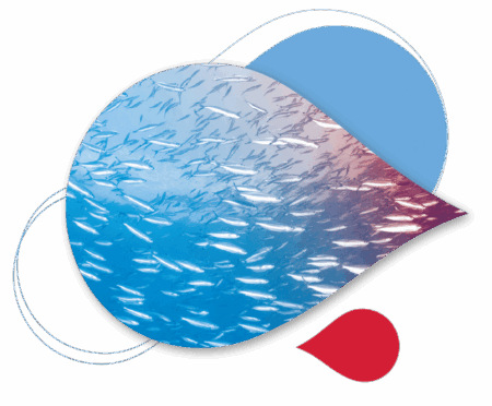 XTherma-Design-Elements-44.png